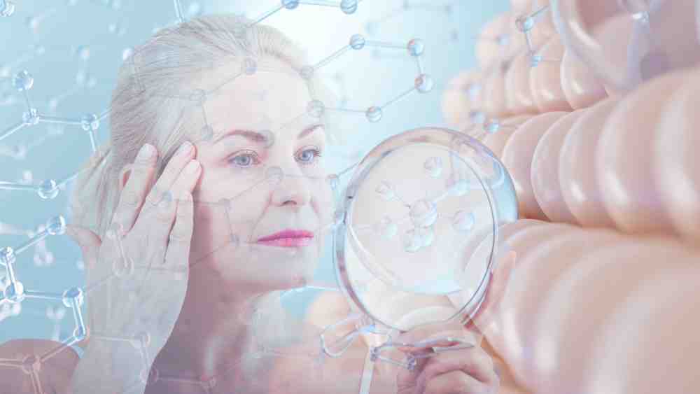 Collagen fit for your Lifestyle!