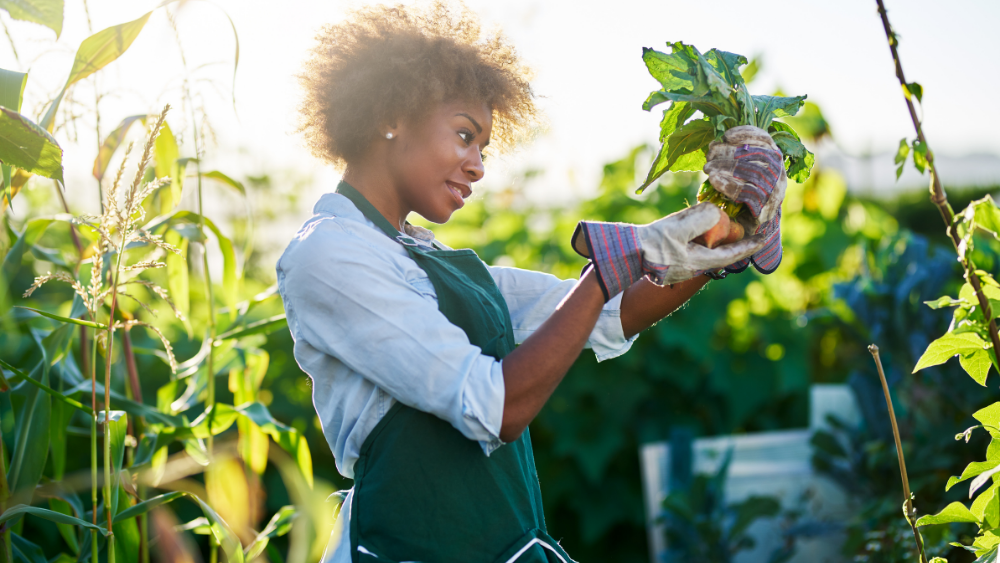 Simple Shifts, Sustainable Future: A Beginner’s Eco Guide