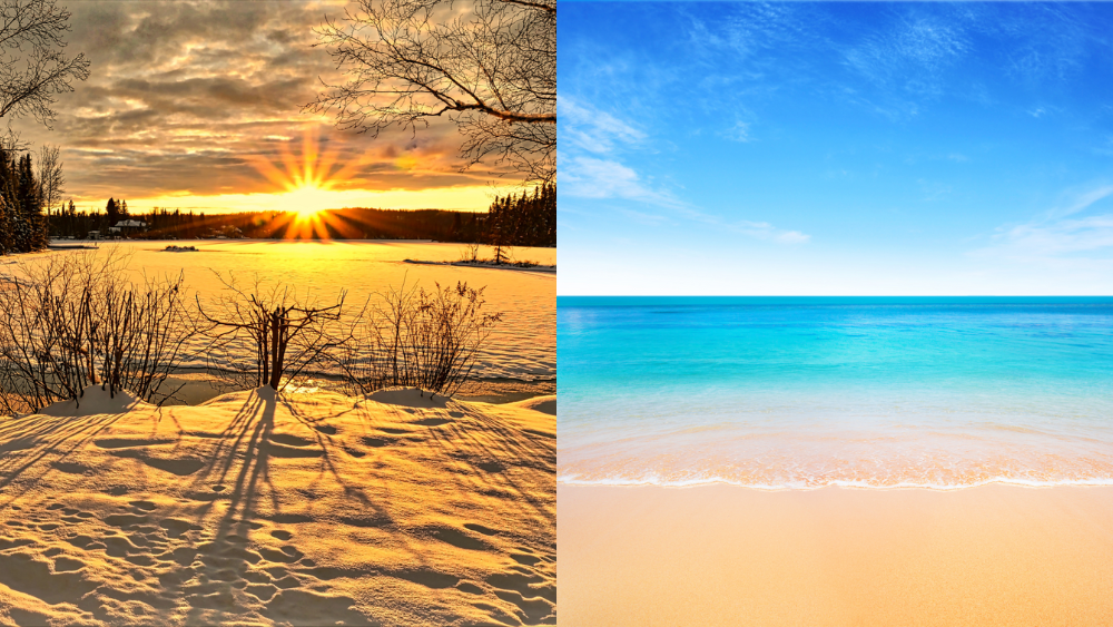 Is Your Diet Seasonal? Tips to Stay Healthy in Winter & Summer