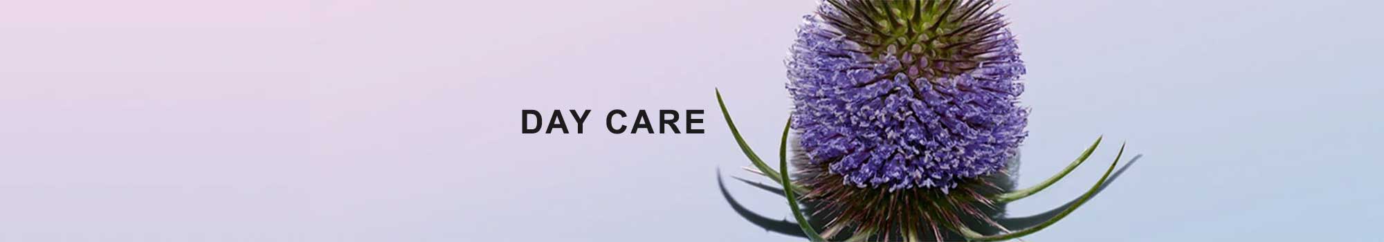 Clarins Day Care