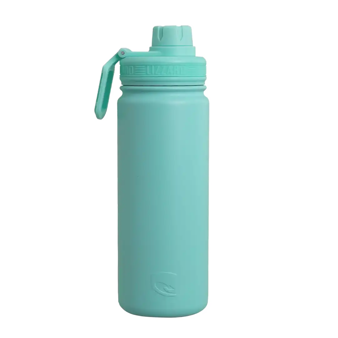 Lizzard Flask 530ml, Assorted
