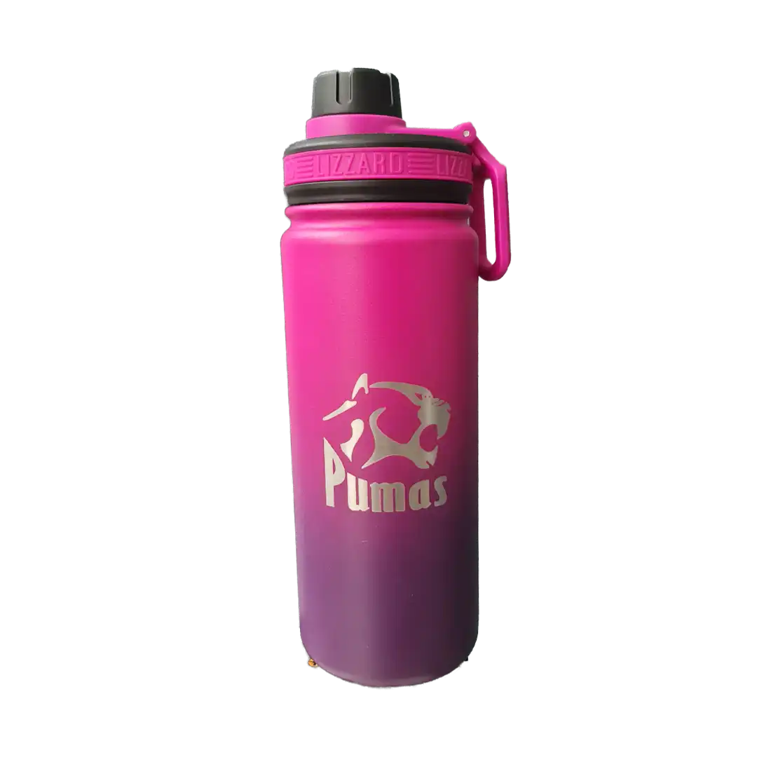 Lizzard Flask 530ml, Assorted