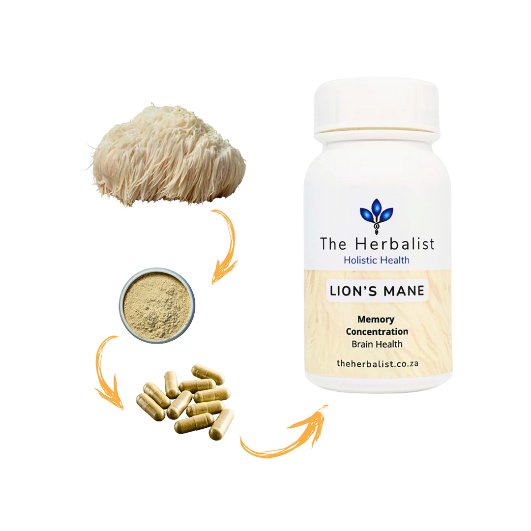 The Herbalist Lion's Mane, 60's