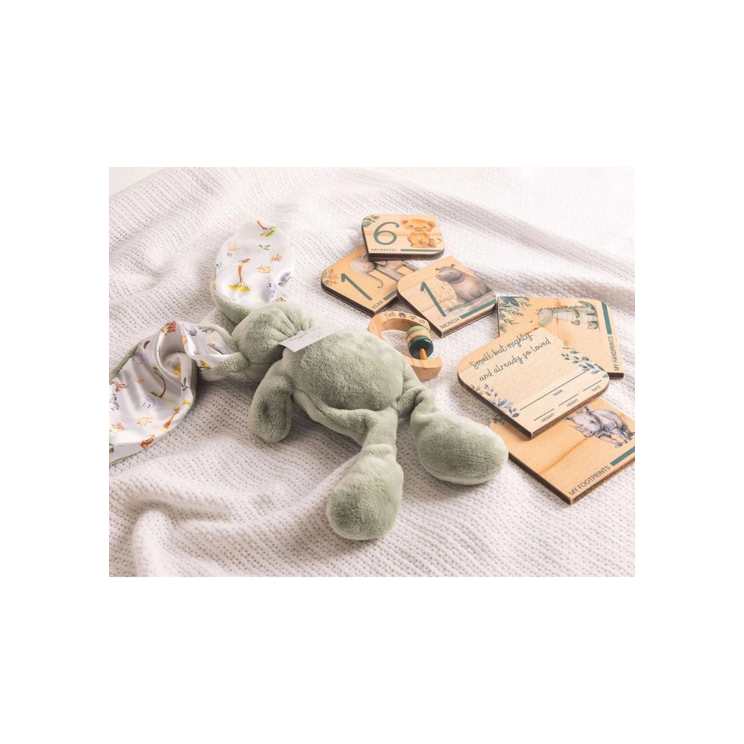 Grow Baby Gift Set Tiger Lily Bunny, Milestone Disks & Rattle On Safari