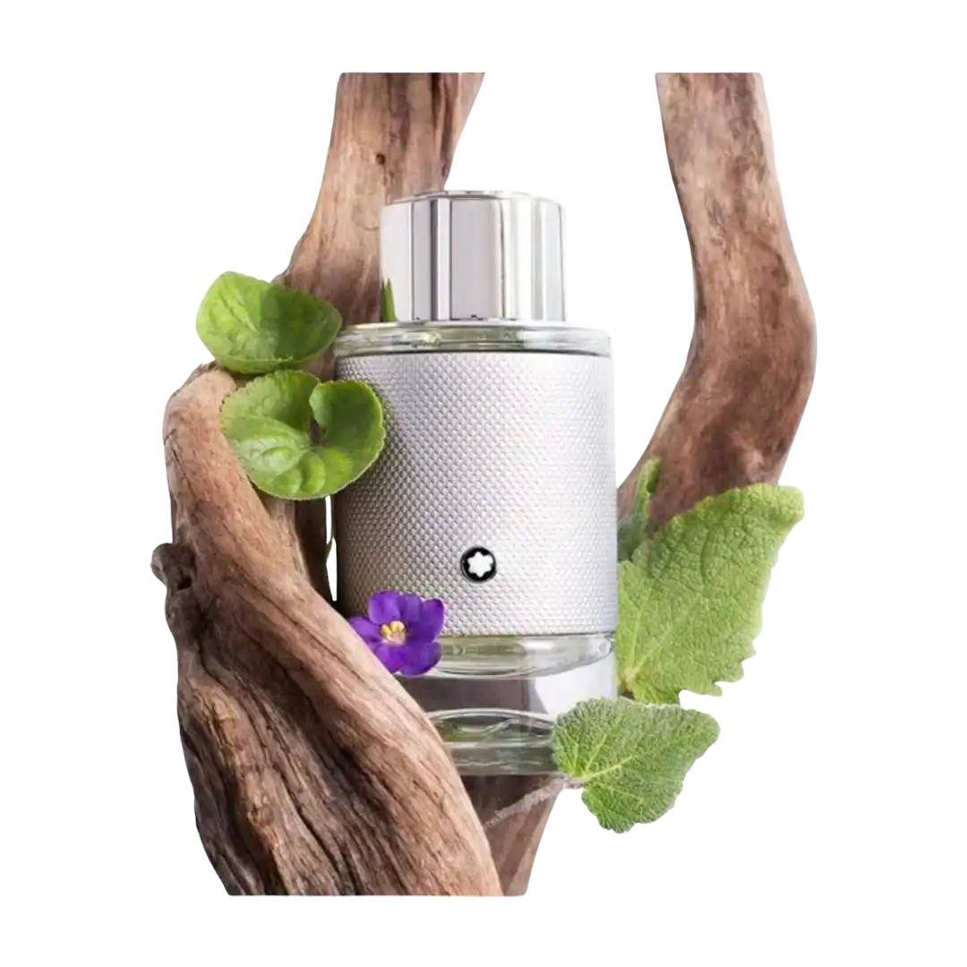 MontBlanc Explorer Platinum Gift Set