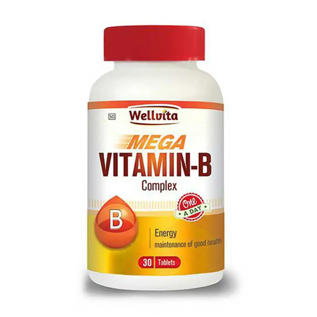 Wellvita Vitamin B Complex Tablets, 30's