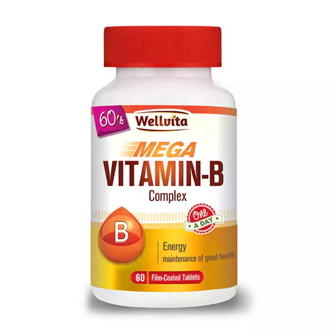 Wellvita Vitamin B Complex Tablets, 60's