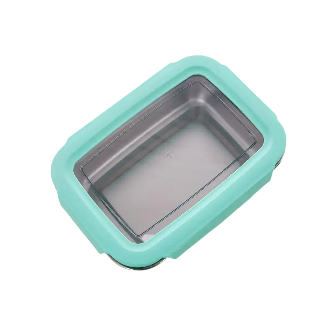 Lizzard Food Container Mint, Assorted