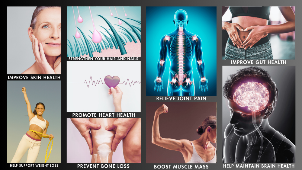 How Collagen Fits Into Your Lifestyle