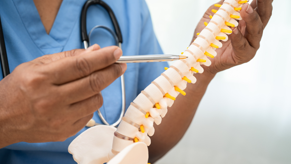 A Guide to Healthy Bones: Preventing Osteoporosis as You Age