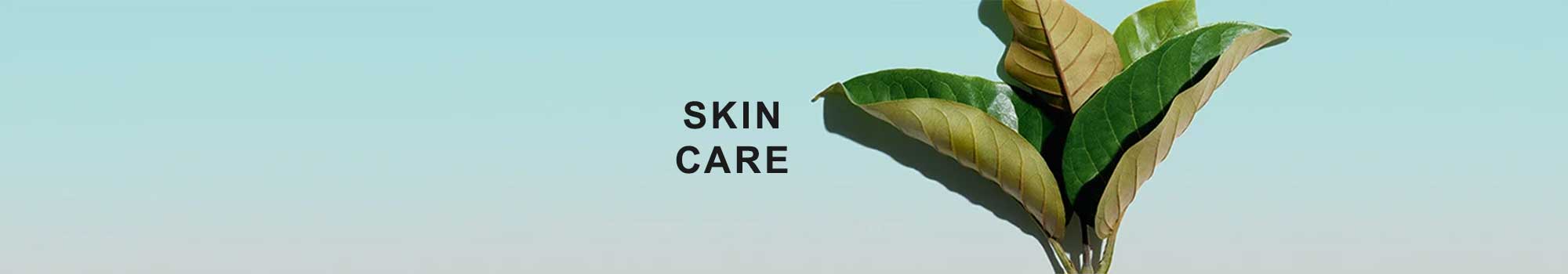 Clarins Skin Care