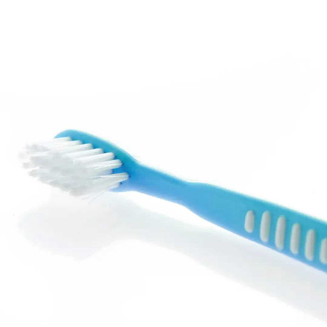 Snookums Baby Toothbrush Set Blue
