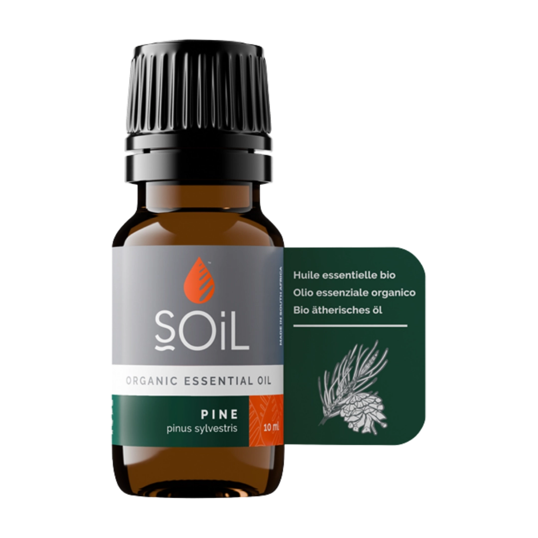 Soil Organic Pine Essential Oil, 10ml
