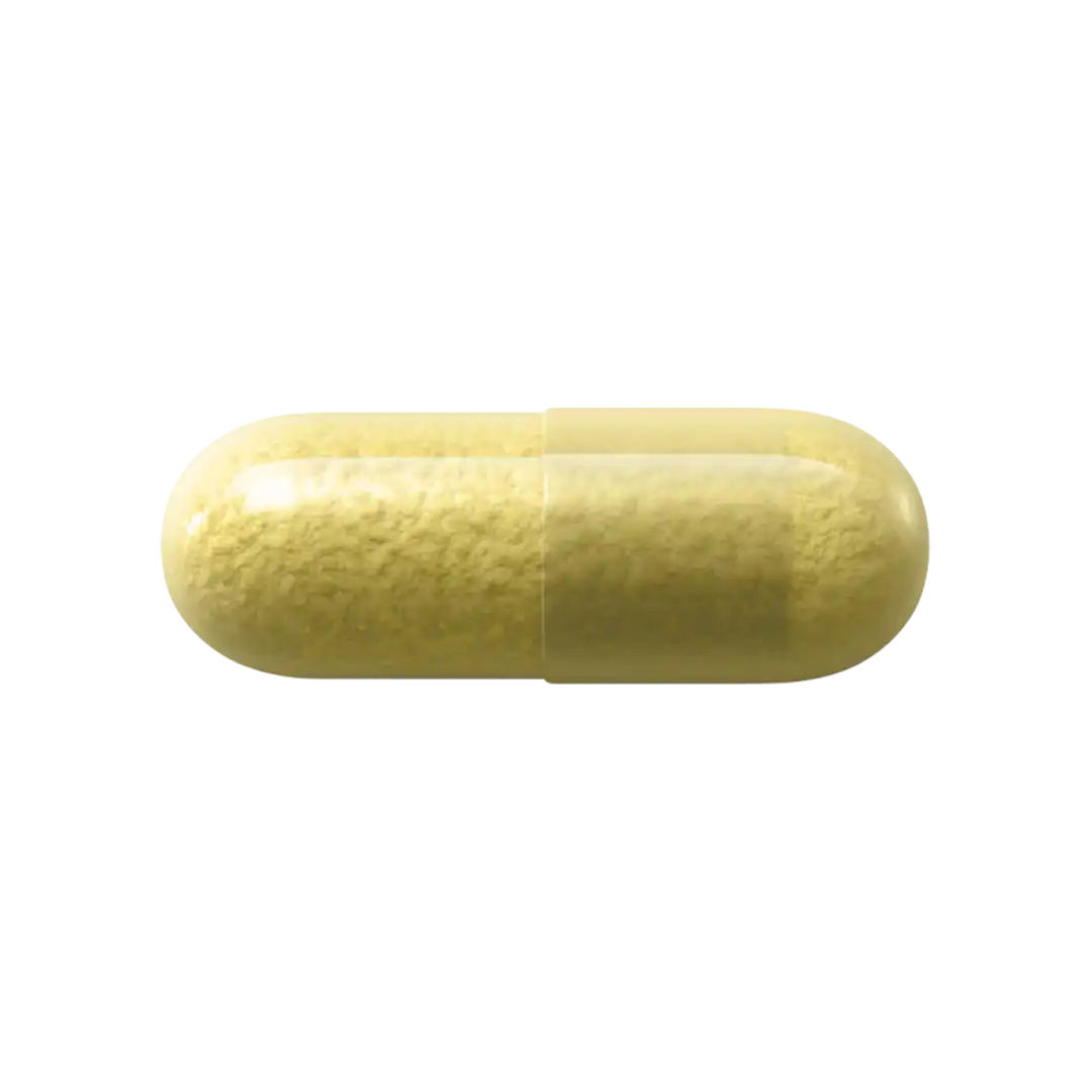 Natroceutics Milk Thistle Capsules, 60's