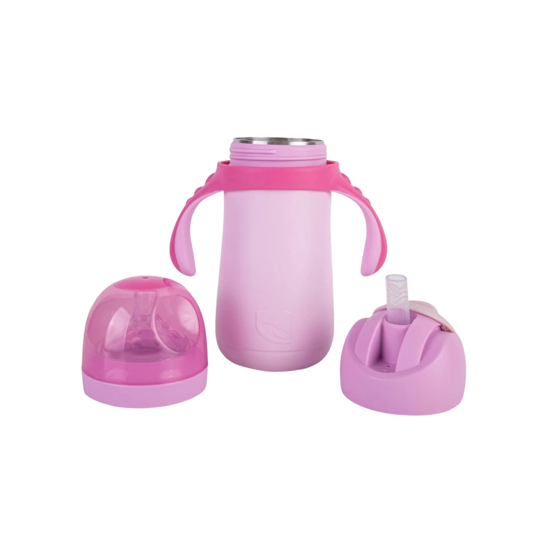 Lizzard The Kiddie Flask 300ml, Assorted