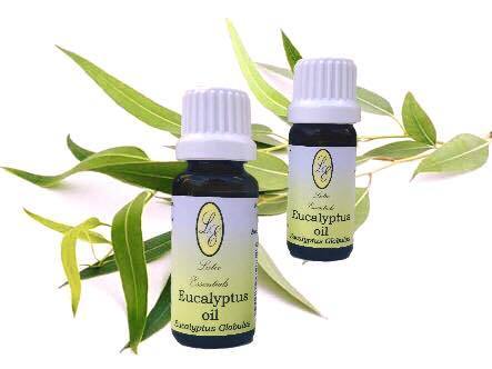 Lativ Vitamins Lativ Eucalyptus Oil, 20ml 6009803727323 175380