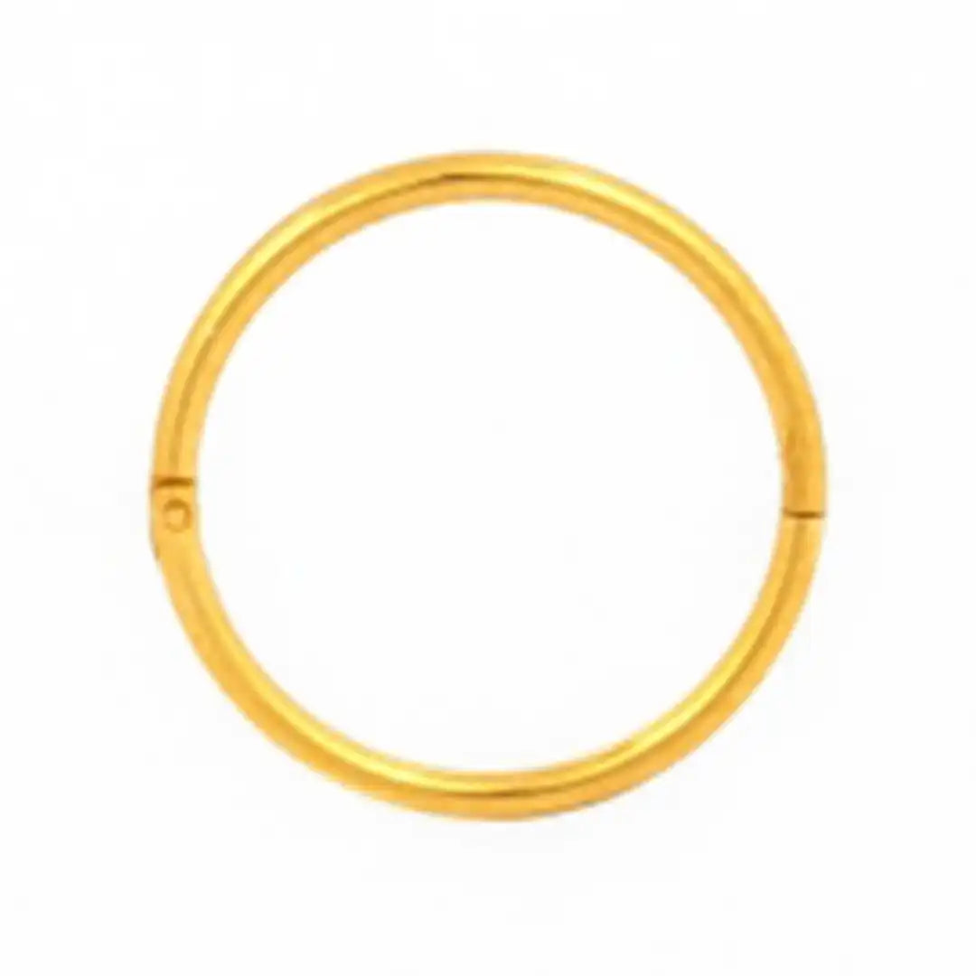 Studex Smooth Hinged Hoop Gold Plated, 8mm