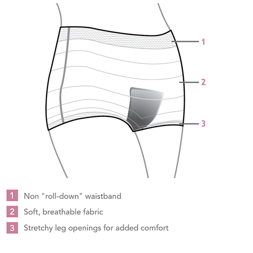 Mopani Pharmacy Baby Carriwell Panties 2XL 6009625951432 87751